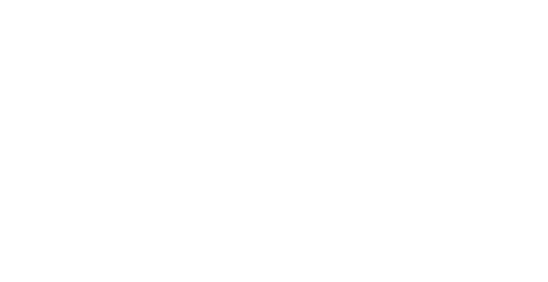 Logo White